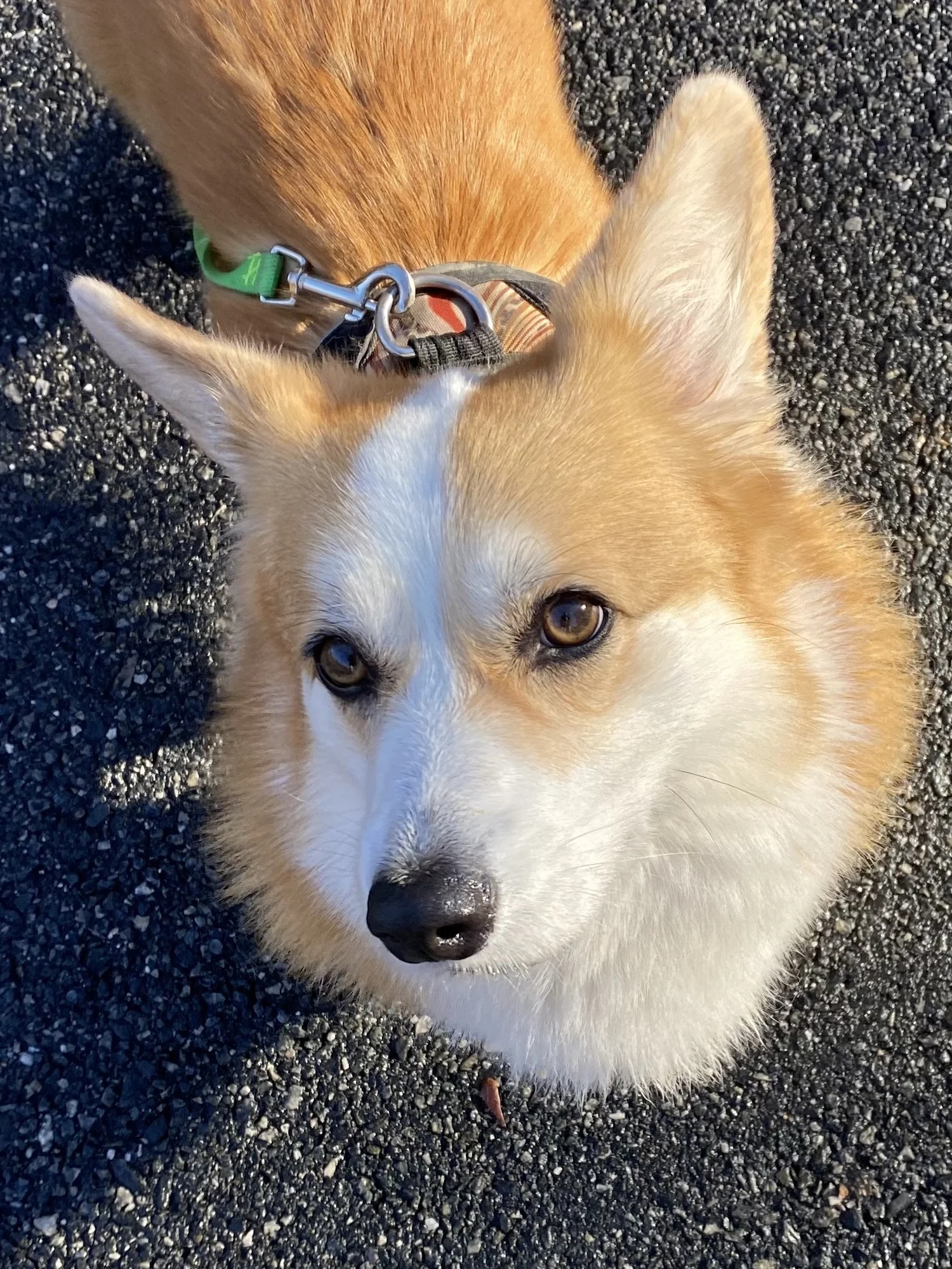 Team — Heppner Family Chiropractic and Wellness