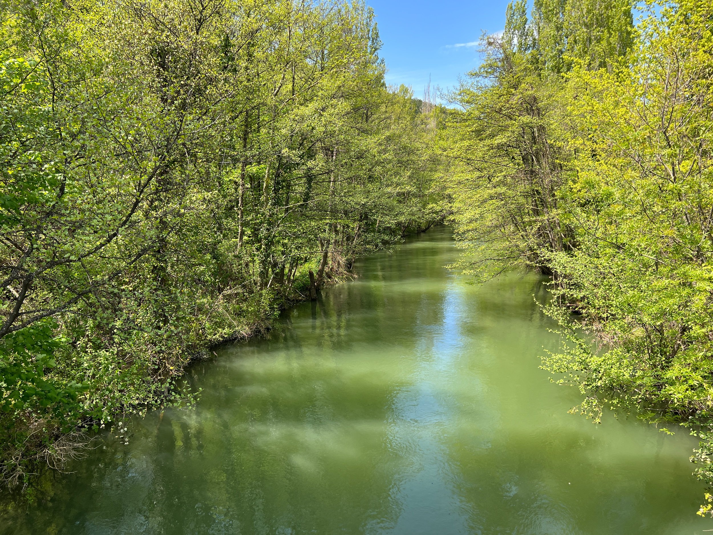 IMG_2218.jpeg