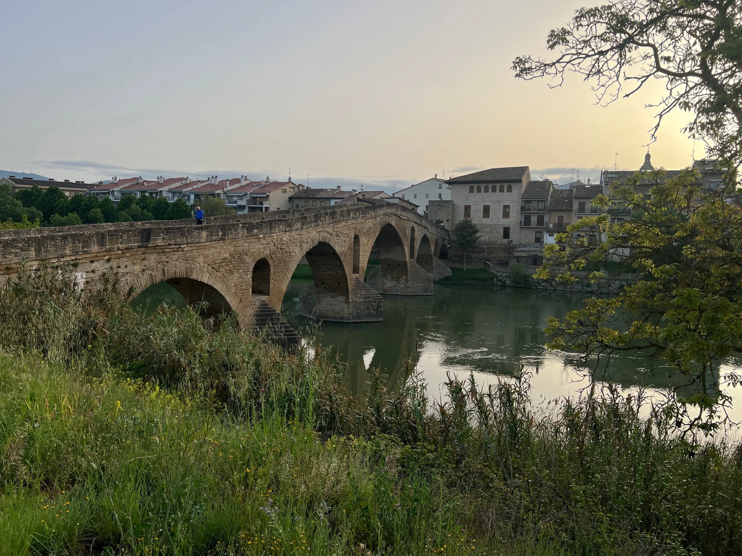 Day 6 - Pamplona to Puente la Reina