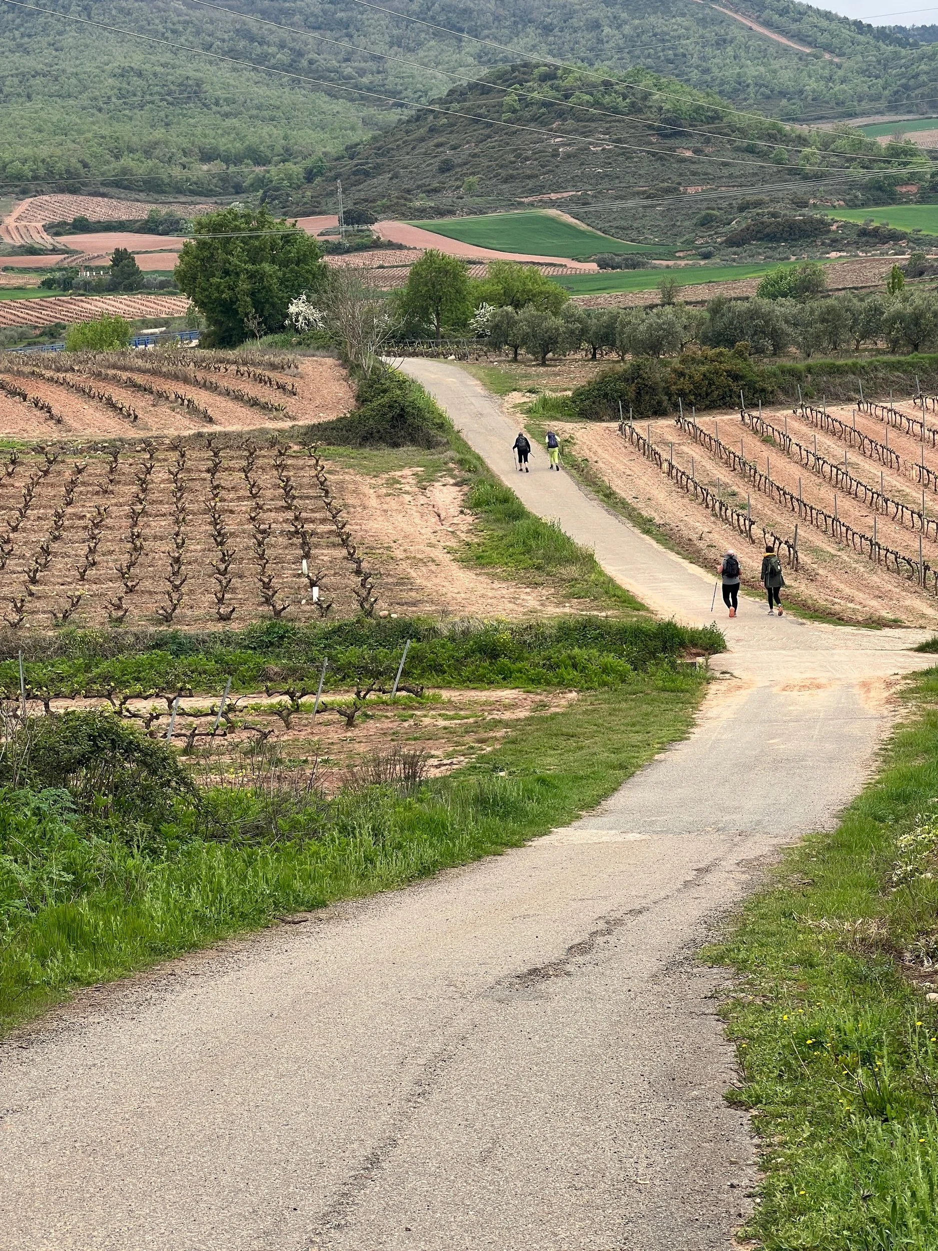 Day 10 - Logrono to Najera