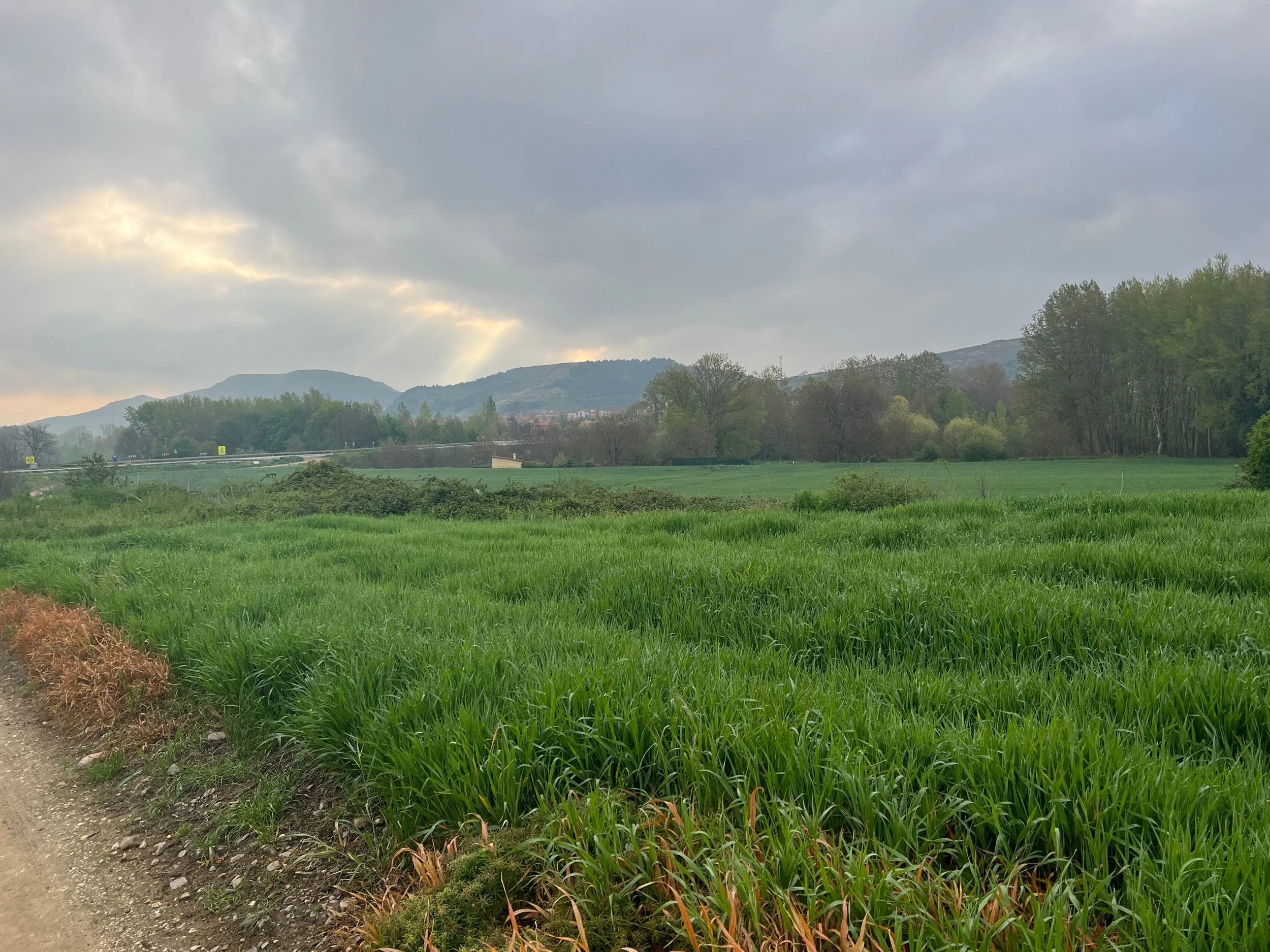 IMG_3651.jpeg