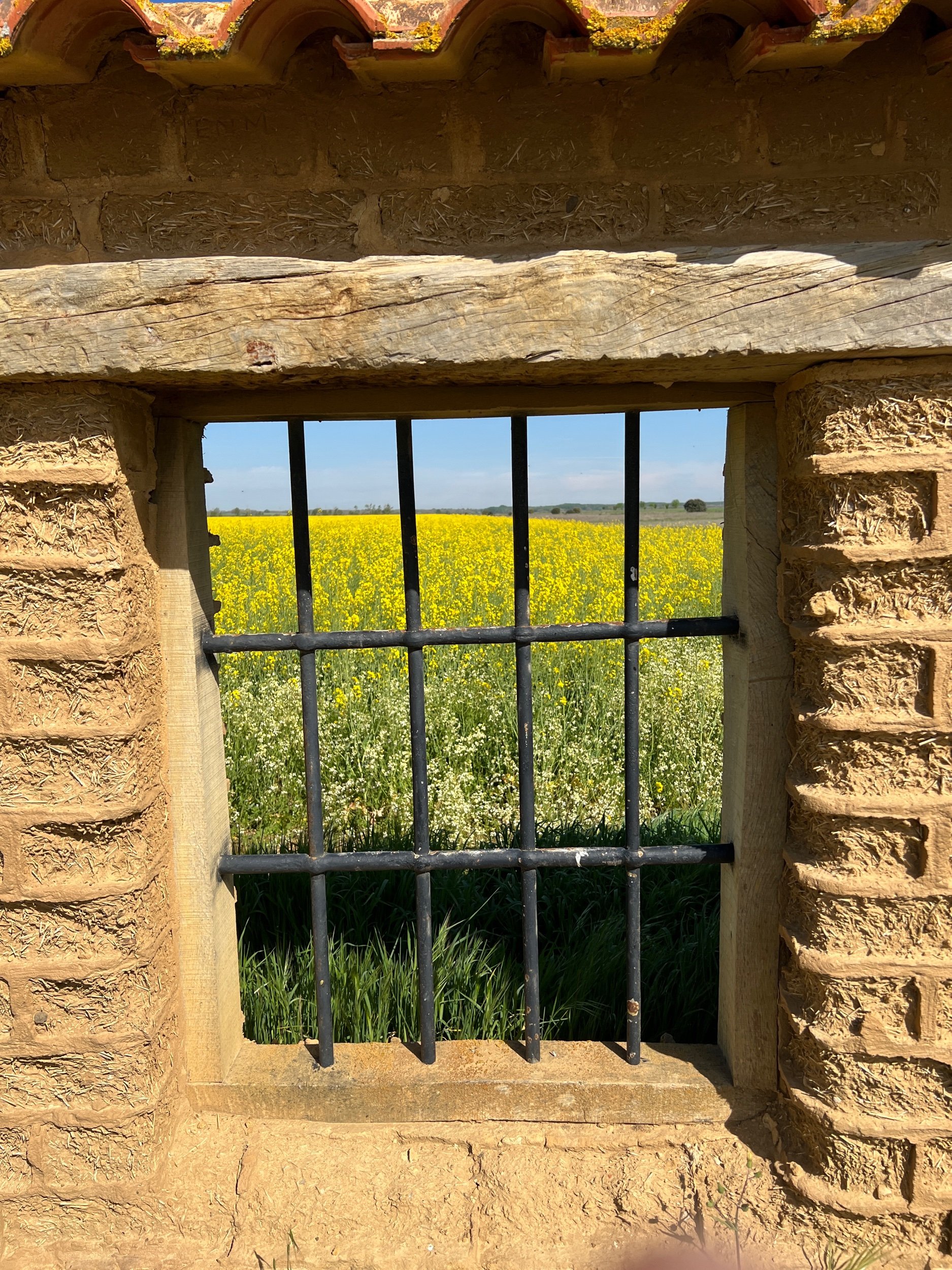 Day 19 - Corrion de Los Andes to Terradillos