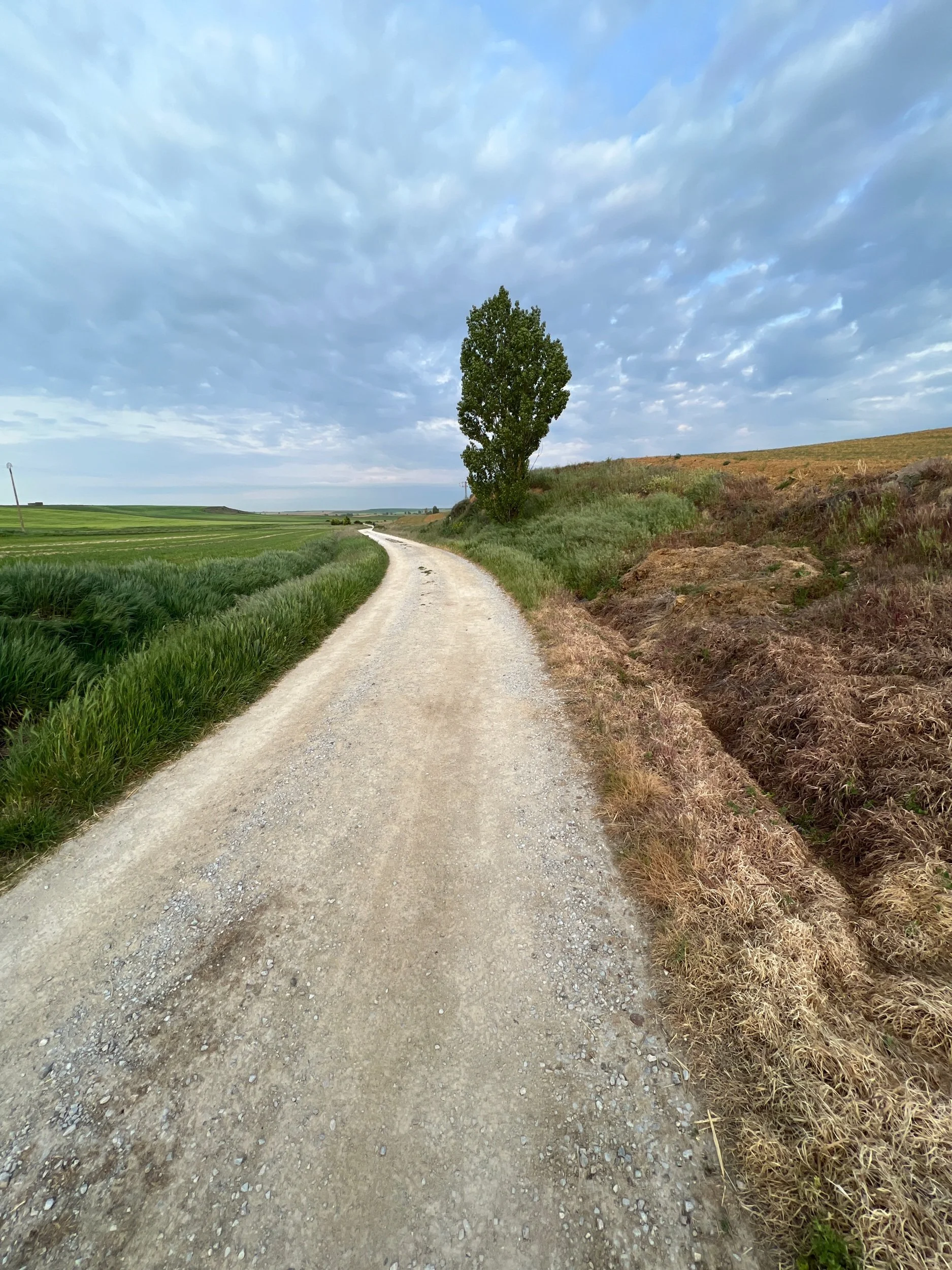 Day 20 - Terradillos to Bercianos