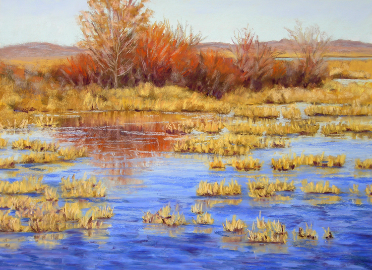 Bosque del Apache (634), pastel, 11 x 15", $750