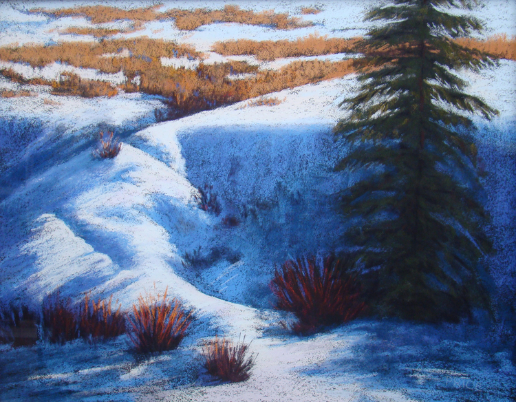 Deep Shadows (529), pastel, 16 x 20", $1,250