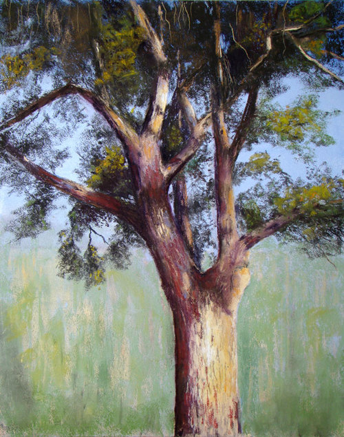 Cottonwood Tangle (167), pastel, 20 x 16", $950