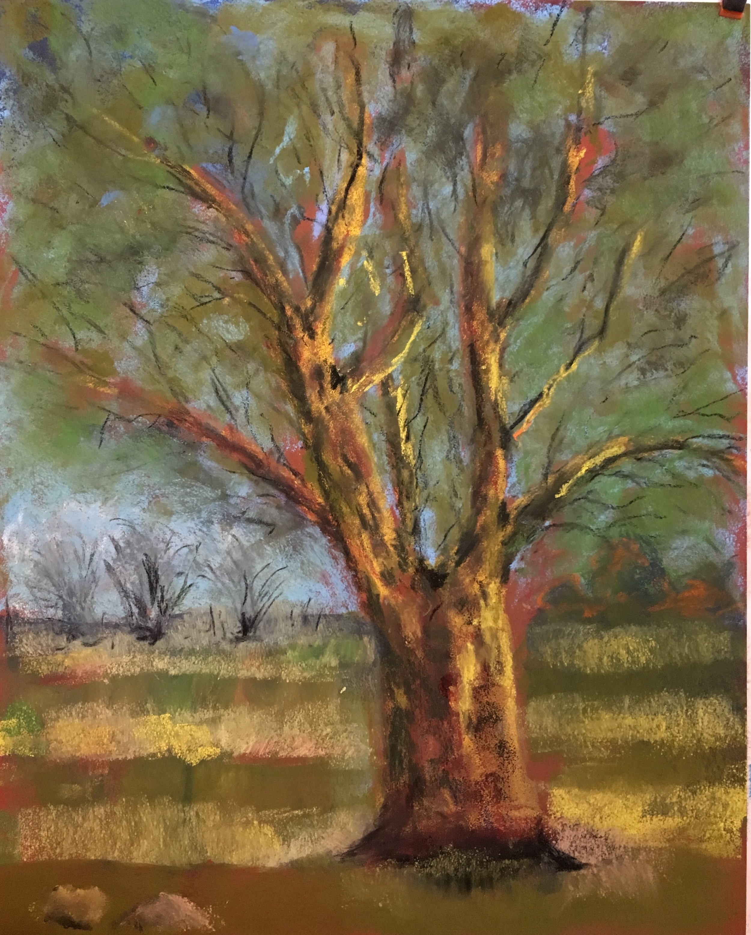 Golden Tree, pastel, 16 x 20", $1250 Framed, $1000 Unframed