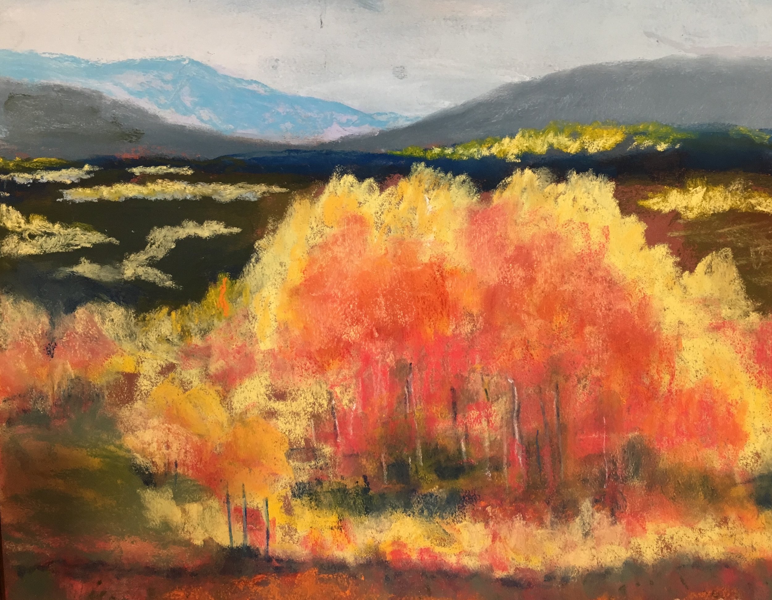 Fall Colors,  pastel, 16 x 20", $1250 Framed, $1000 Unframed