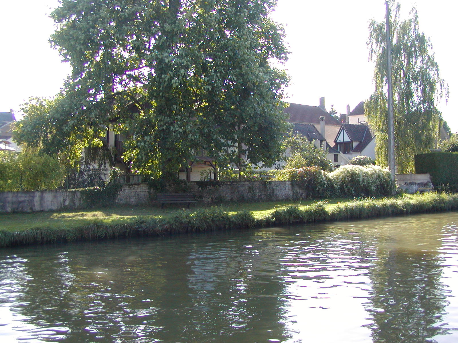 rear canal view chalet behind tree & studio with big dormer picture window.JPG