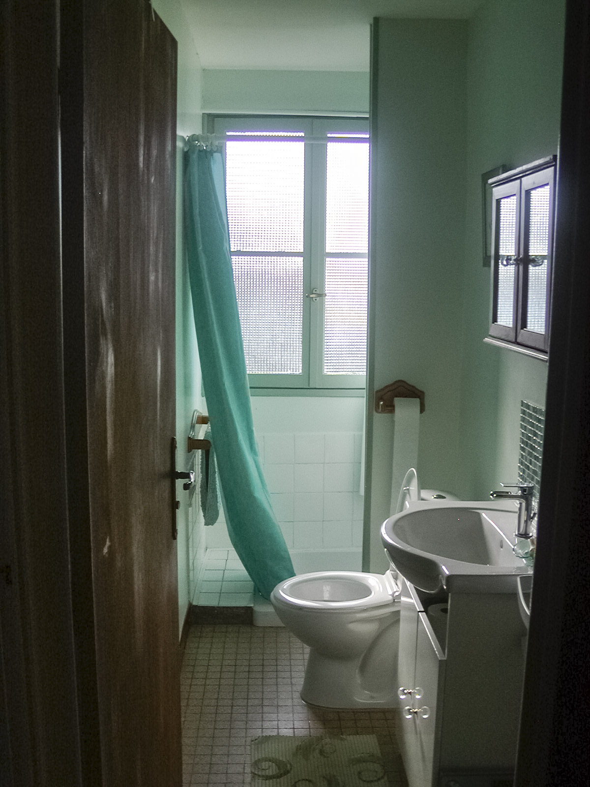 chalet shower toilet.jpg