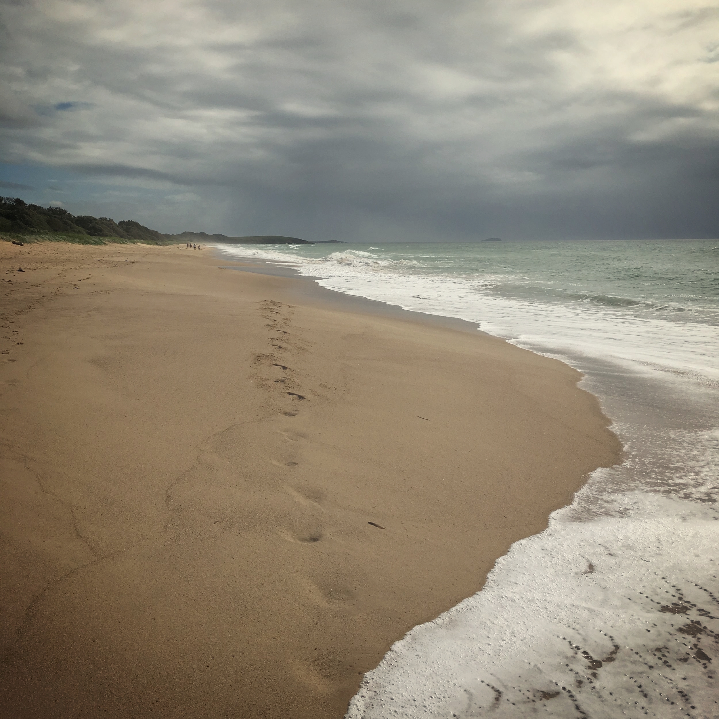 byron bay nudist beach greys lane free photo