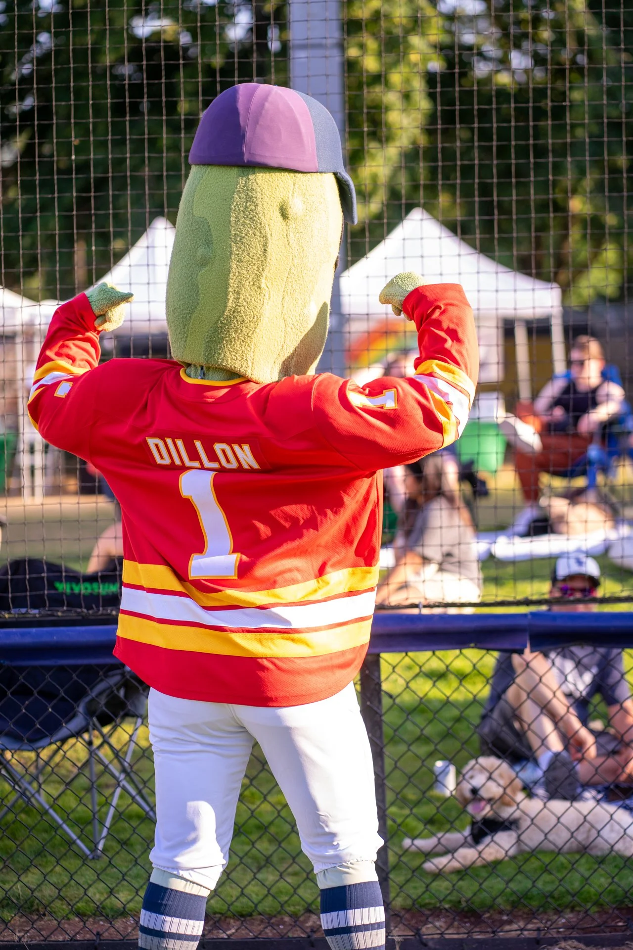 20260714-SPORT-BASEBALL-PDXPickles-0024.jpg