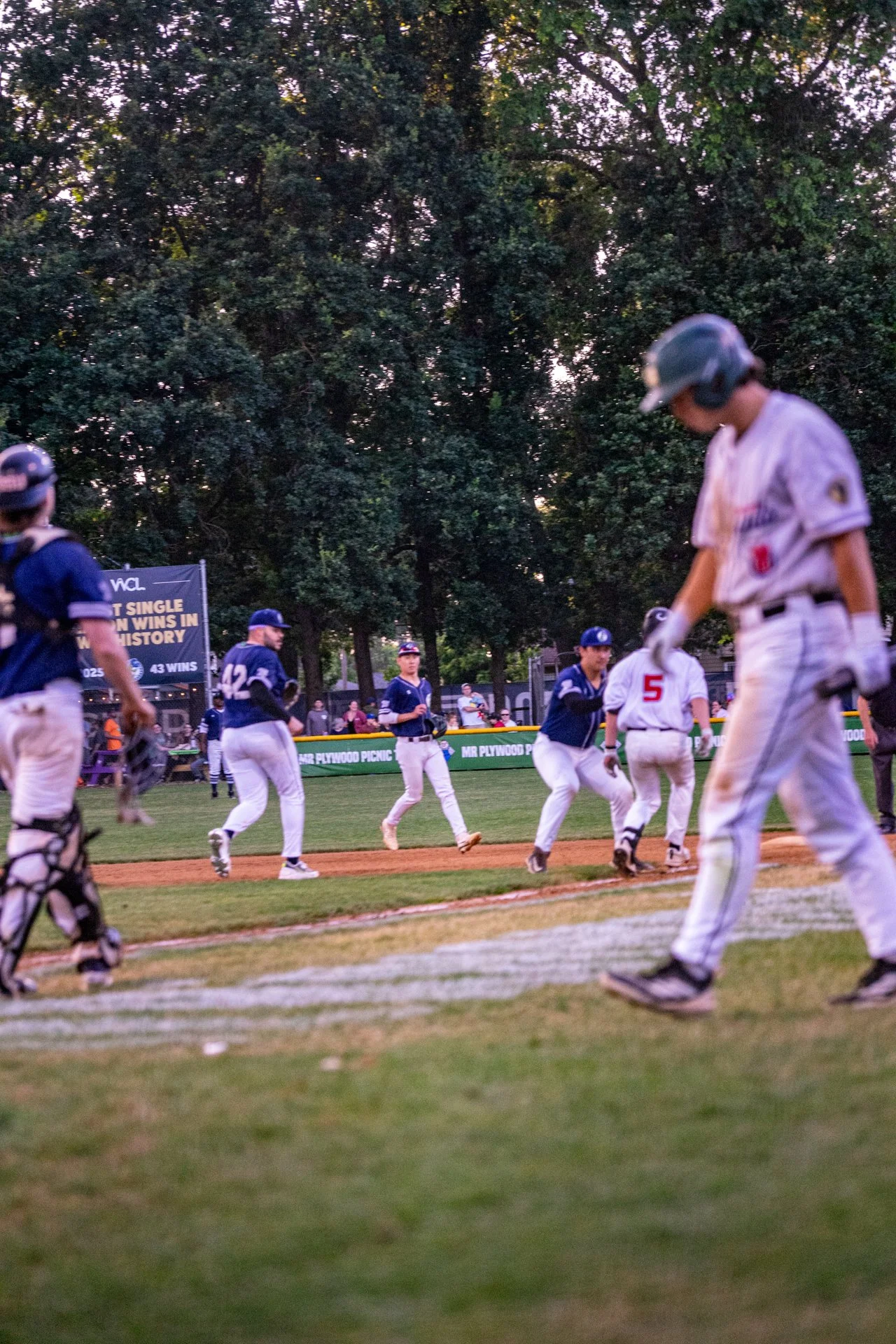 IBG-202606620-sport-baseball-picklesAllstars-0052.jpg
