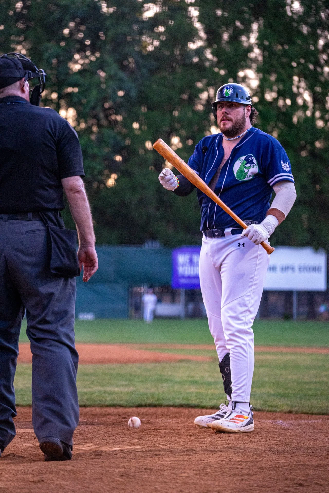 IBG-202606620-sport-baseball-picklesAllstars-0053.jpg