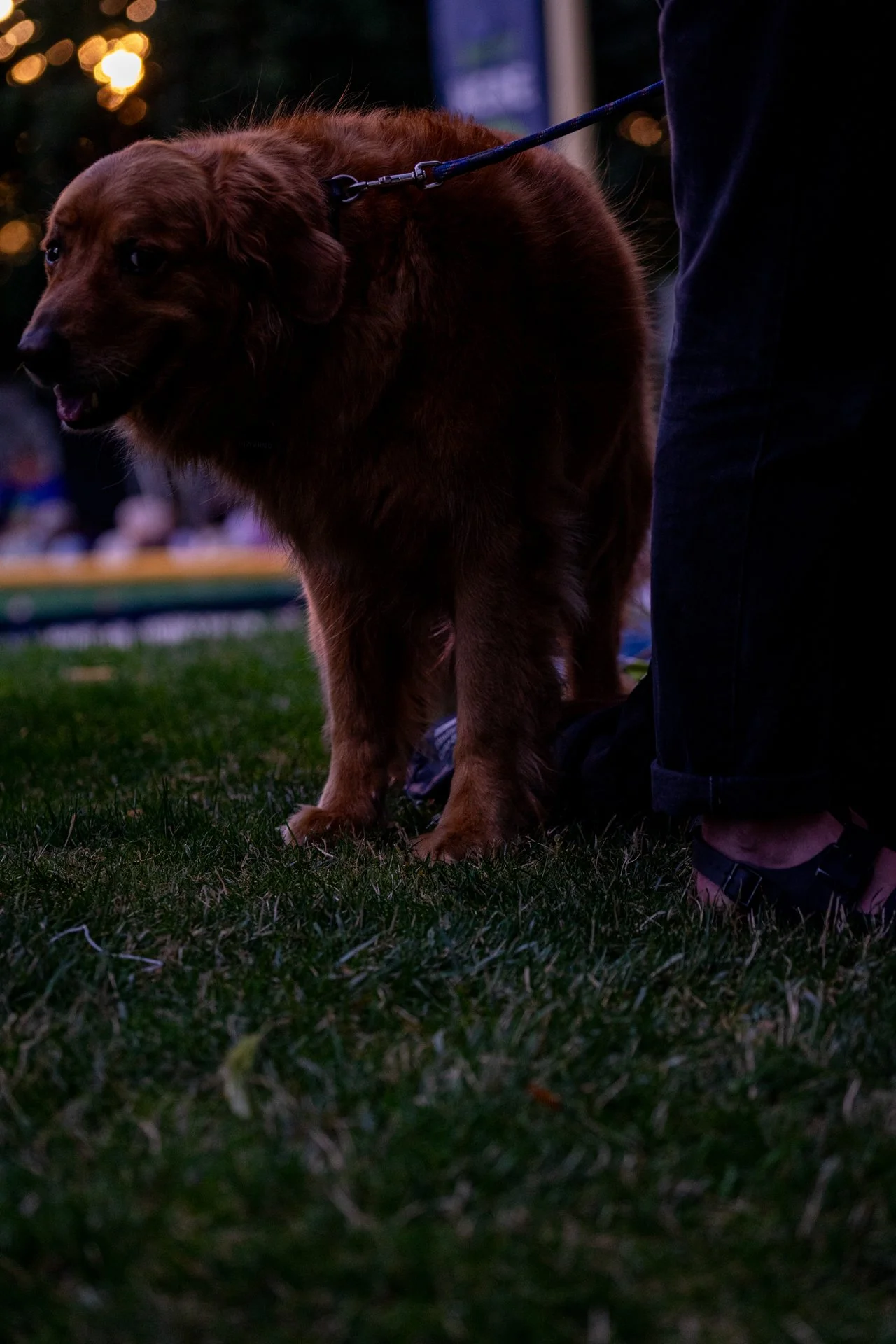 IBG-20260703-SPORT-BASEBALL-PDXPickles-0132.jpg