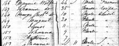 Detail of ship’s manifest for Senator, arriving New York, September 22, 1849, showing Maurice R. Wolfe and family (National Archives)
