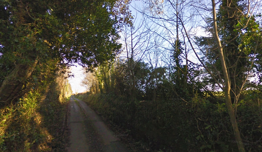 Woods in Garryantanvally, County Kerry, Ireland, November 2009 (Google Maps Street View)