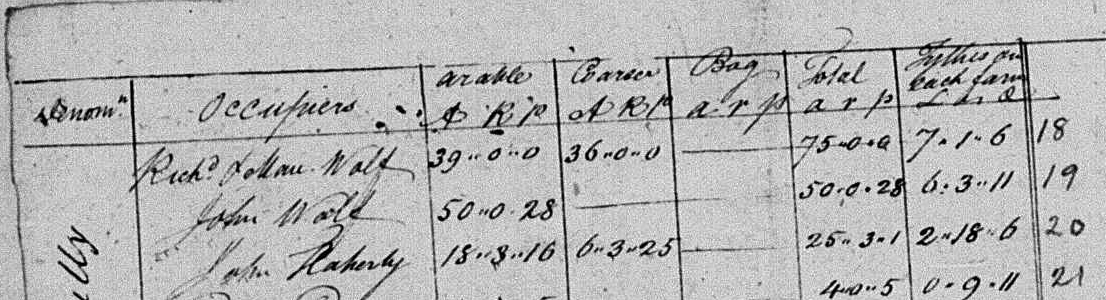Detail from a tax assessment, 1825, Garryantanvally (Townland), Finuge (Parish), County Kerry, showing the names Richard (James?) Wolfe and John Wolfe