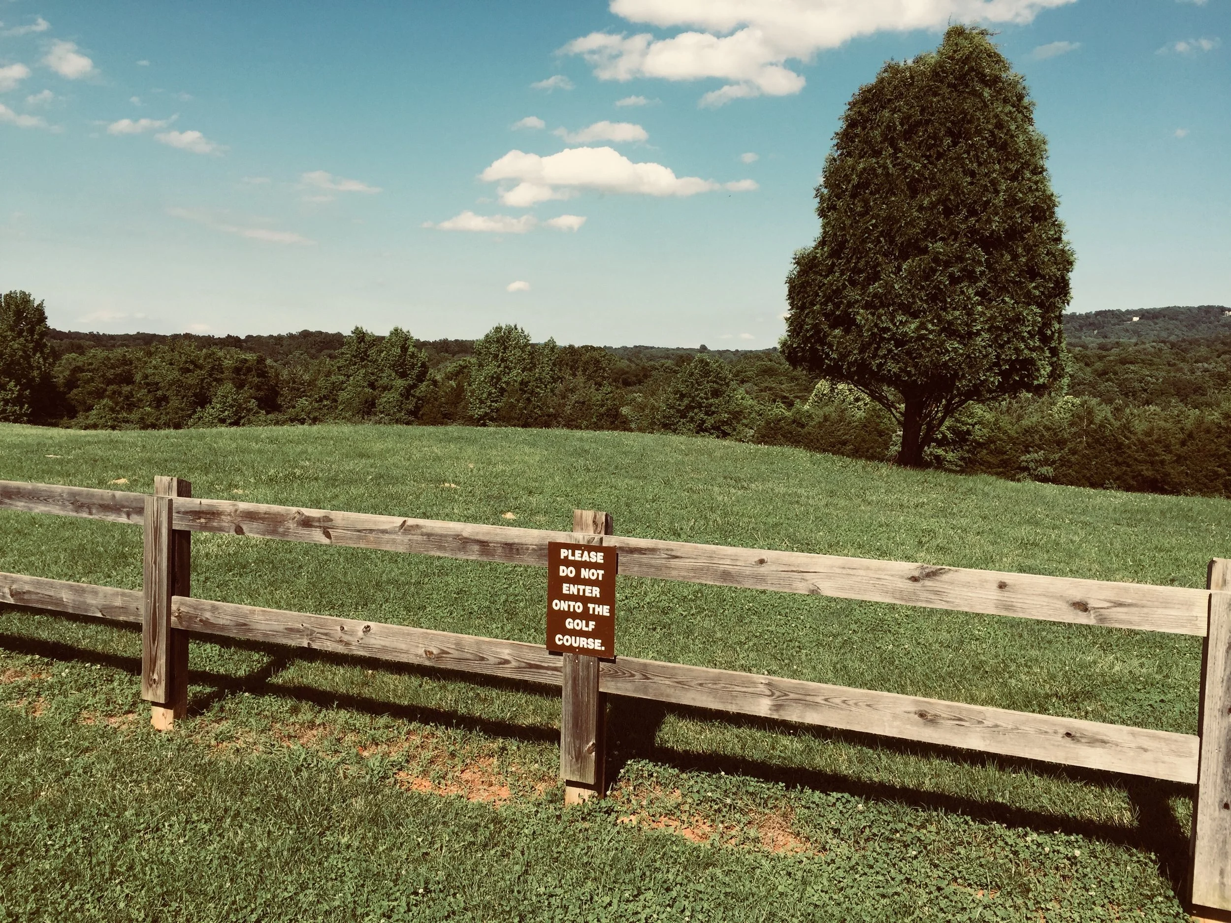 Pen Park, June 6, 2018 (Brendan Wolfe)