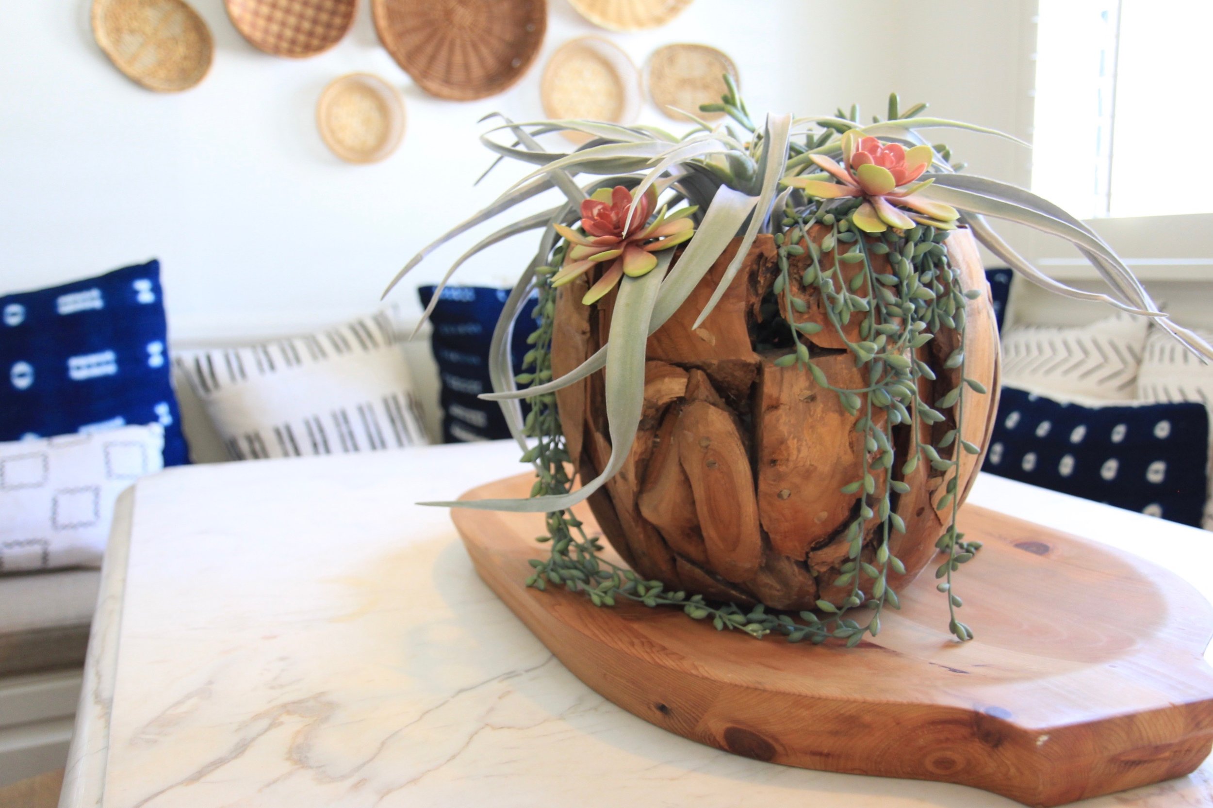 Killer succulent arrangement.