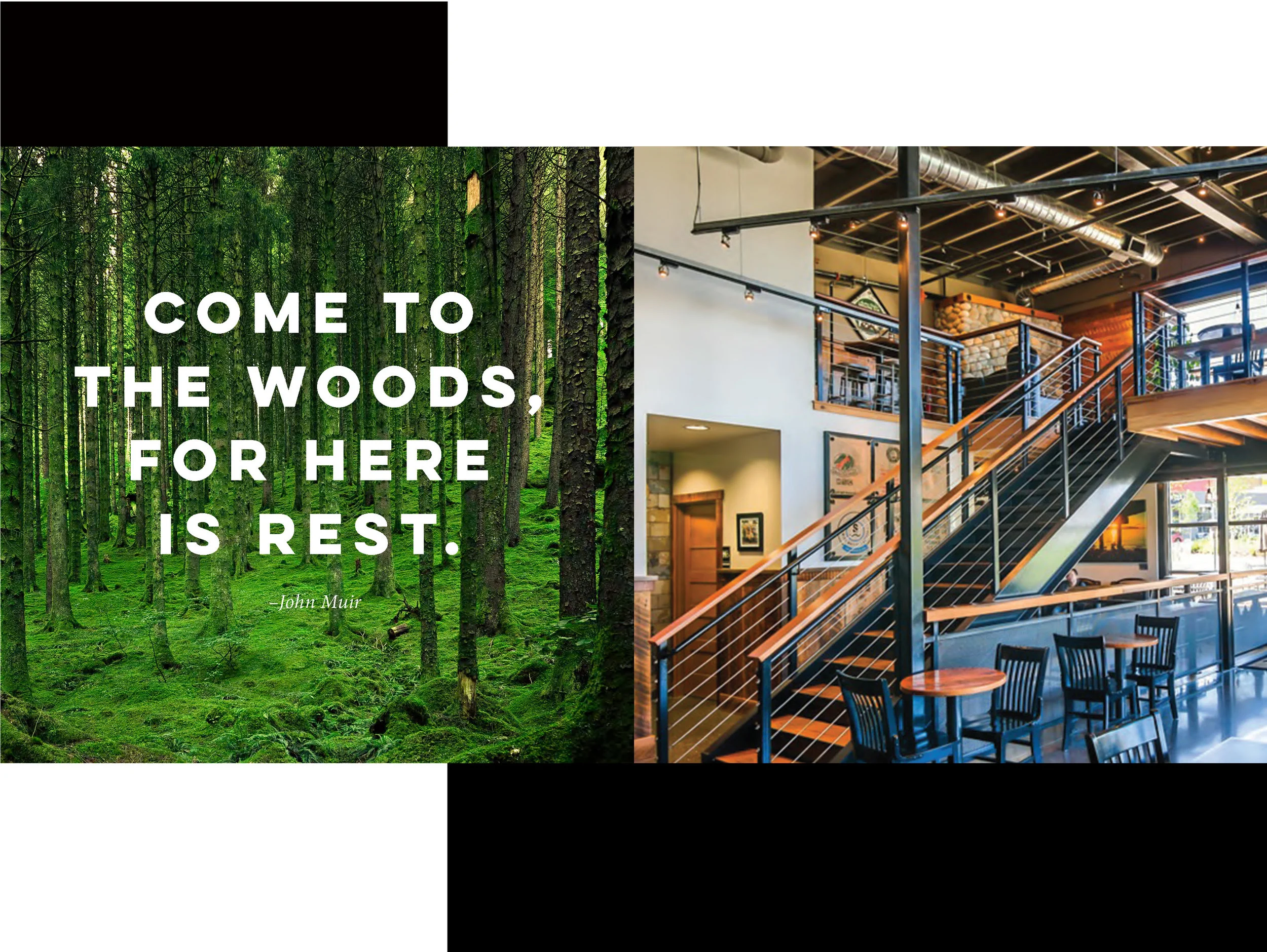 woods-port-justinvannatta_Page_03.jpg