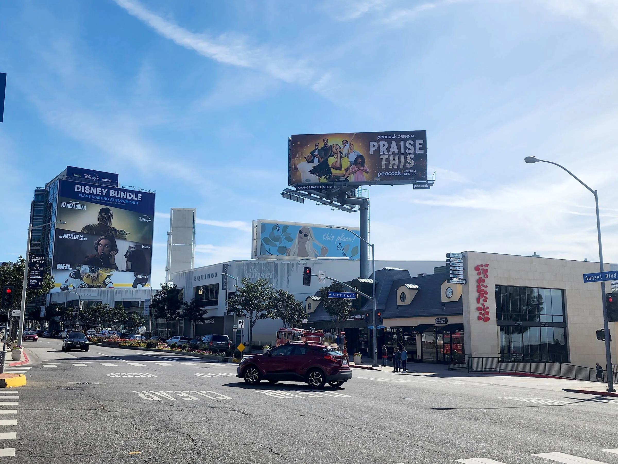 Peacock_Praise This_LA-FS-319_CP2[96].jpg