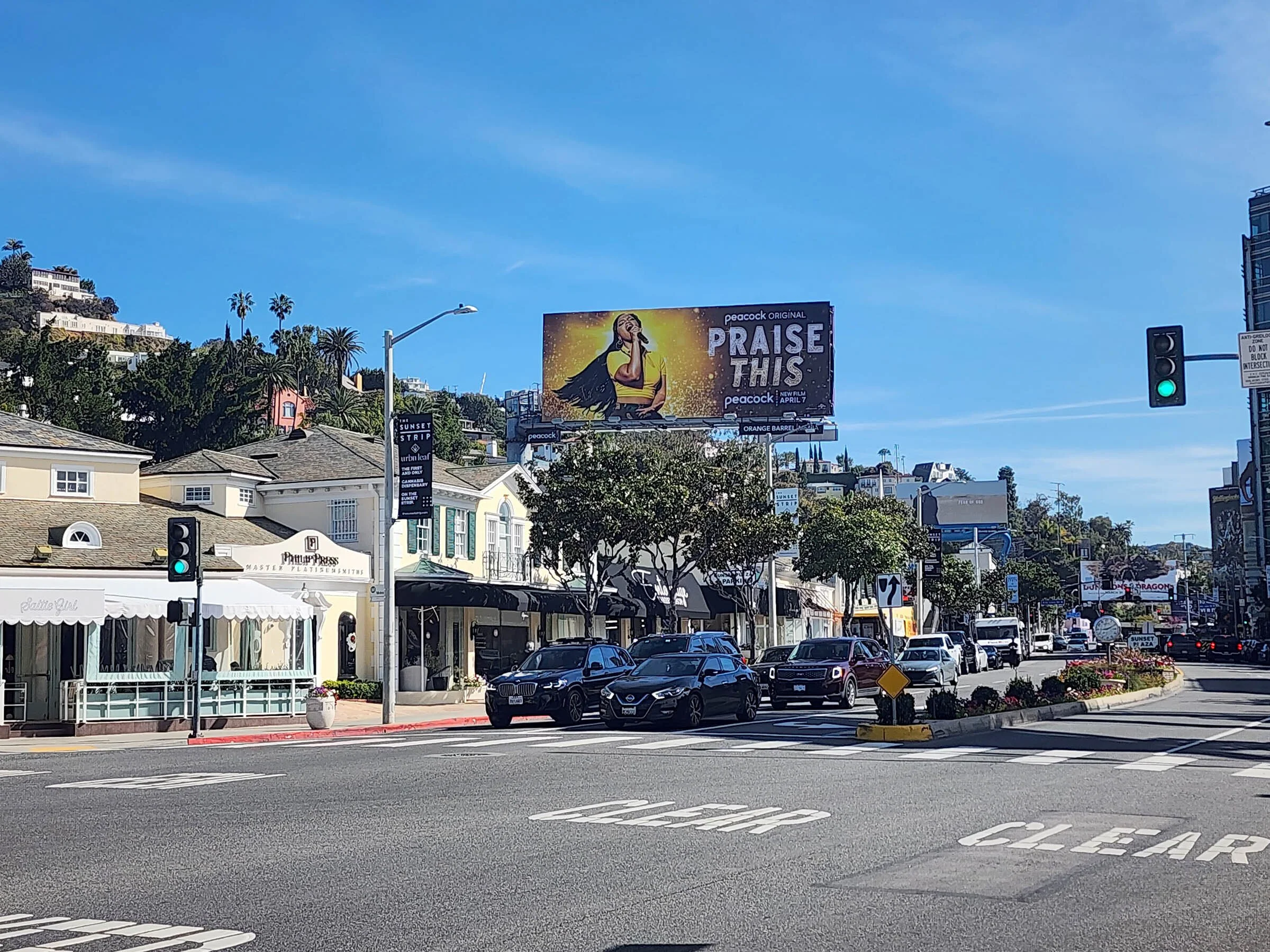 Peacock_Praise This_LA-FS-317_CP1[5].jpg