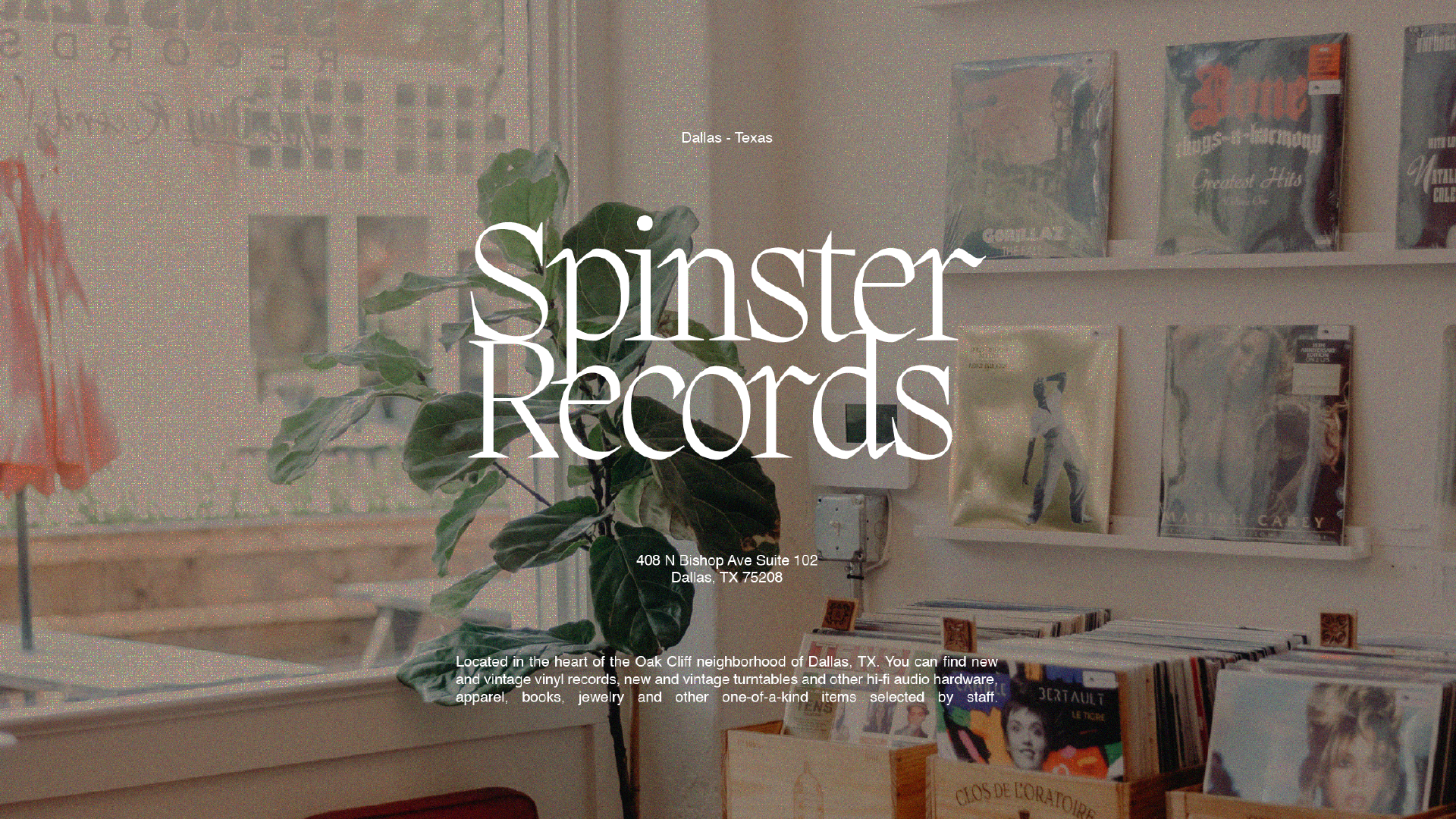 Alex website new 24-11.png