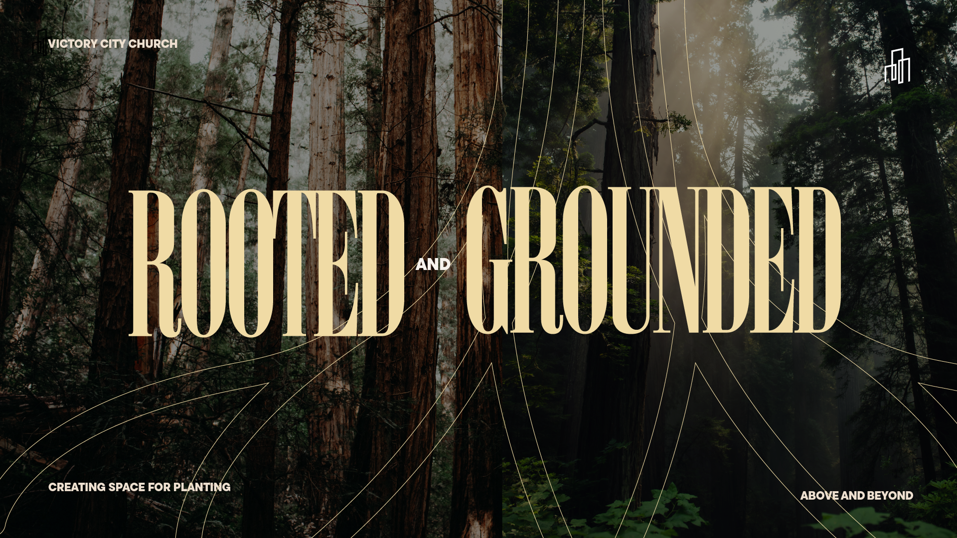 Alex website new 24-32.png