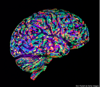 Are Brains Hardwired to Love Art?