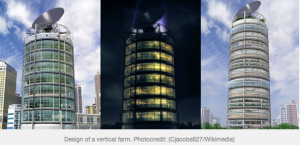 Skyscrapper Farming?