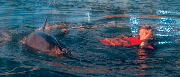 Fungie swimming with his longtime friend, Abi Dillon.