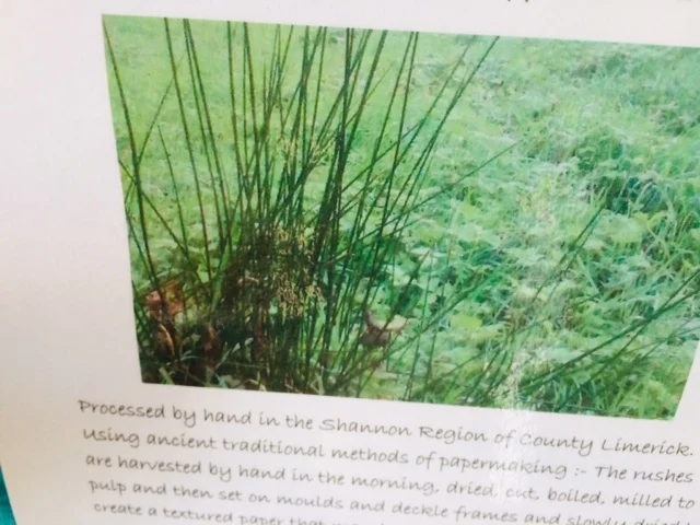 rushes.jpg