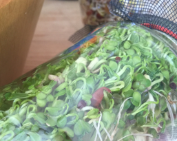 Sprout happens!