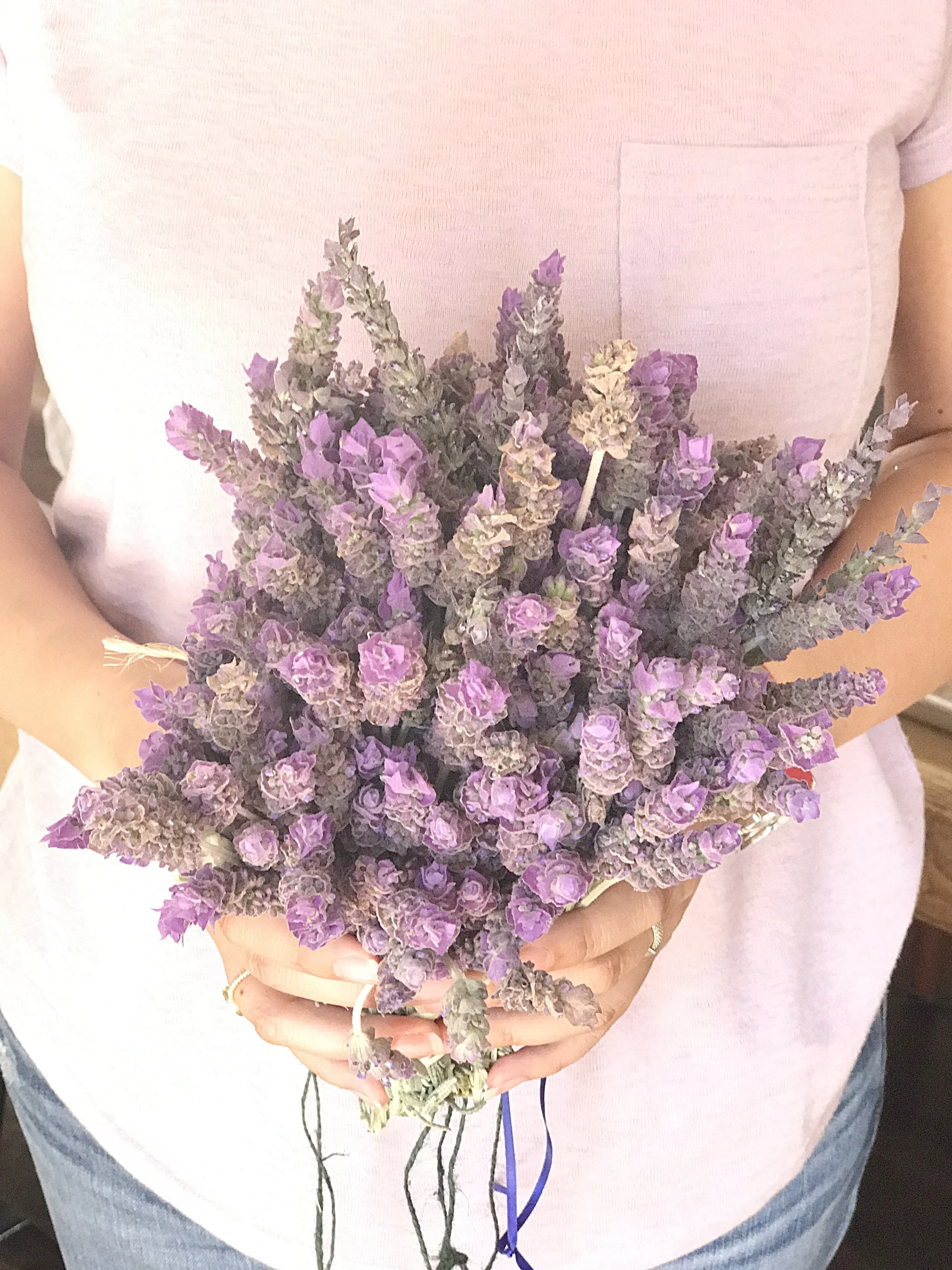 In Celebration of Lavender