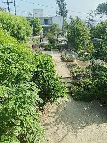 AfterlightImage 6.JPG