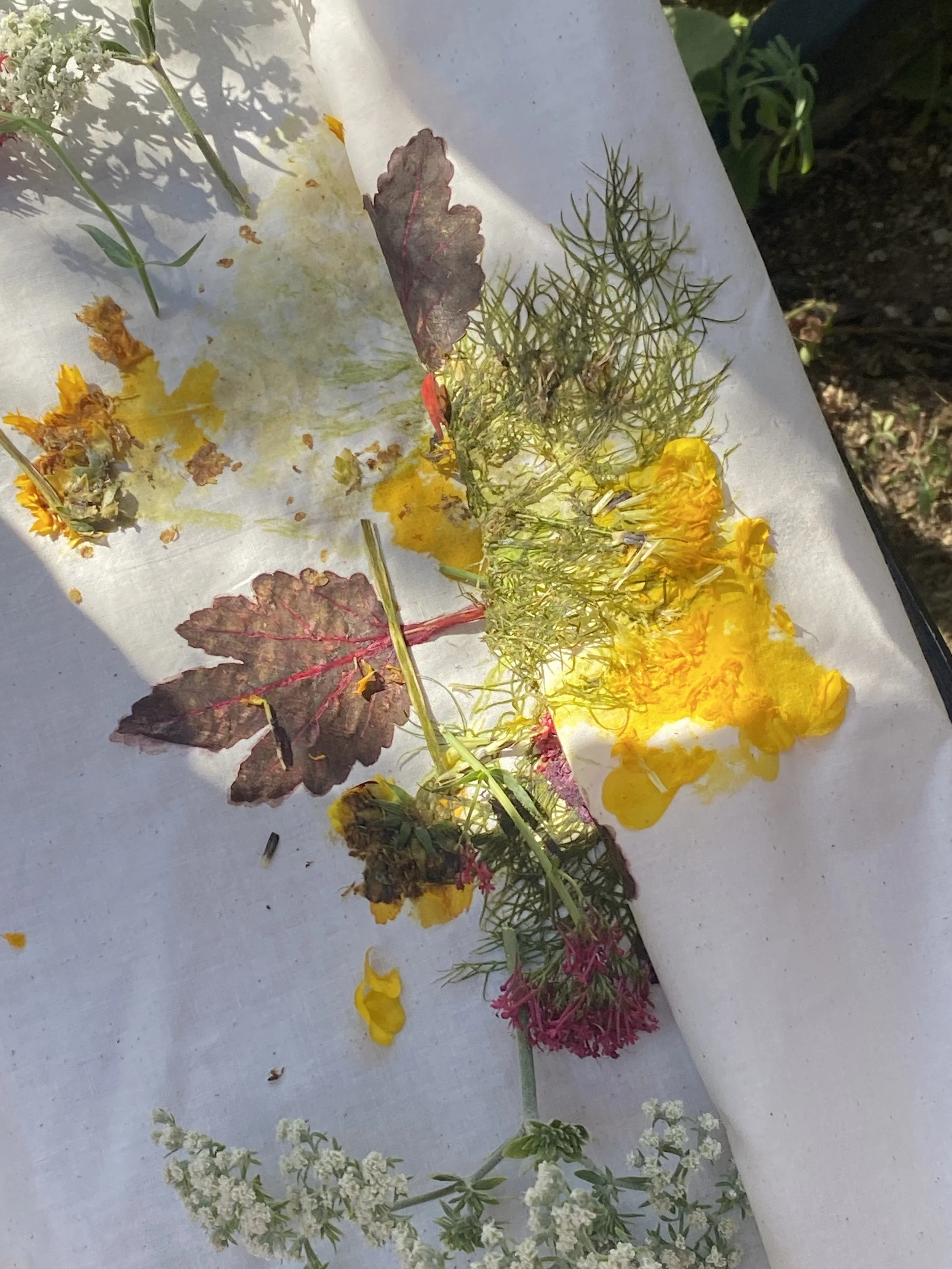 Natural Dye Event with Copycats Copycats &amp; Erika Maish