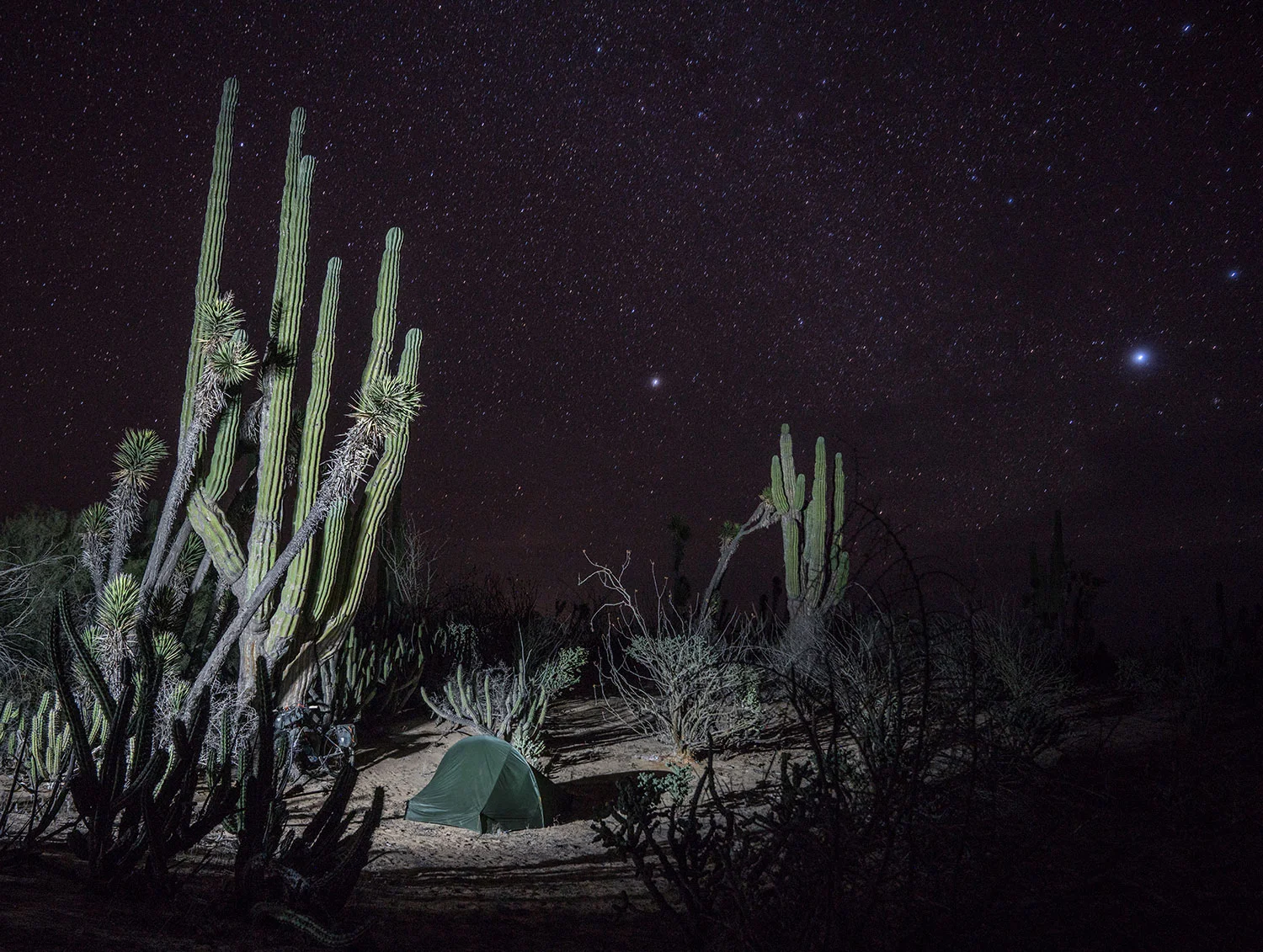 Cold Nights in the Baja Desert in the Valle de Los Cirios