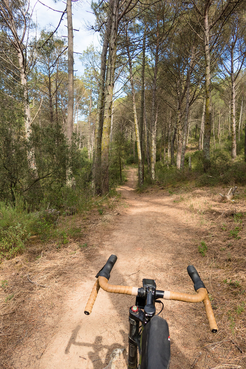 Massif de Montgri downhill