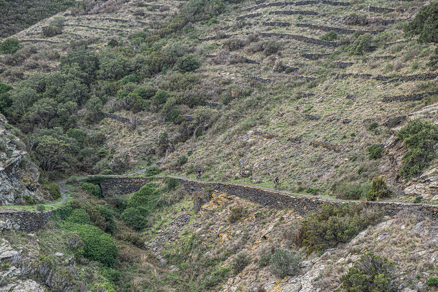 The GR in the Cap de Creus NP