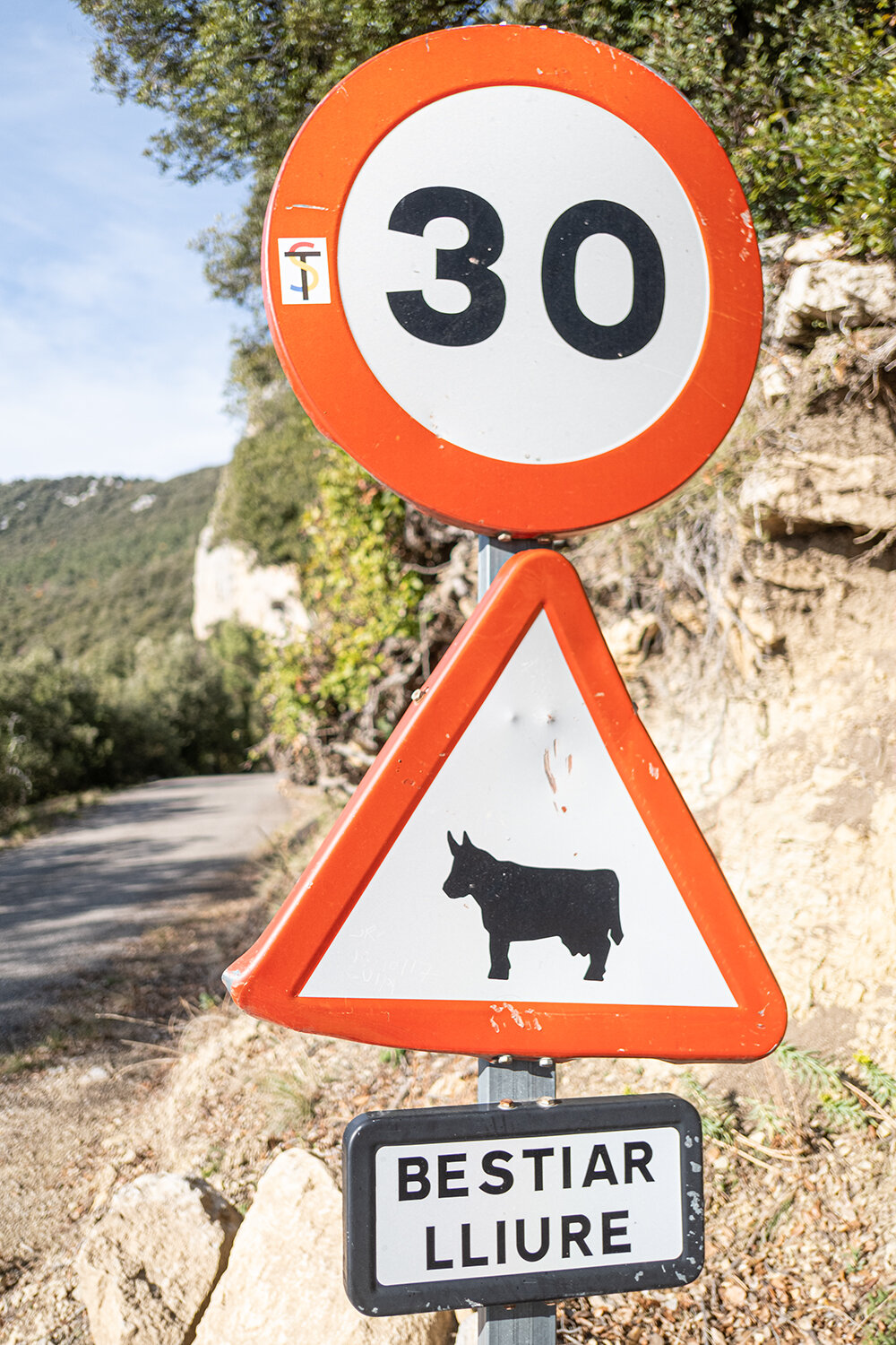 On or of the road, normally you will meet some friendly cows, sheeps and horses