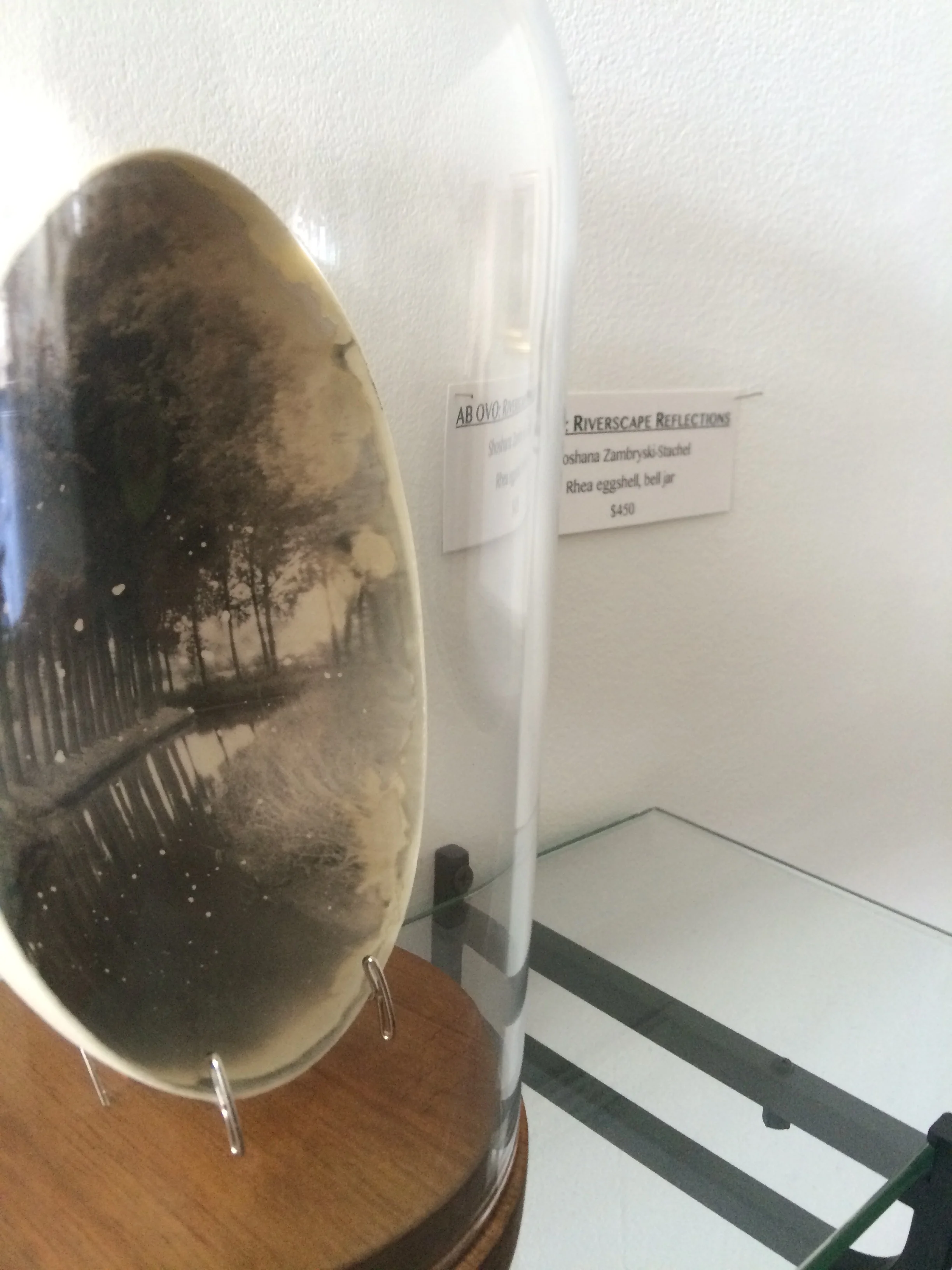 'AB OVO: Riverscape Reflections'