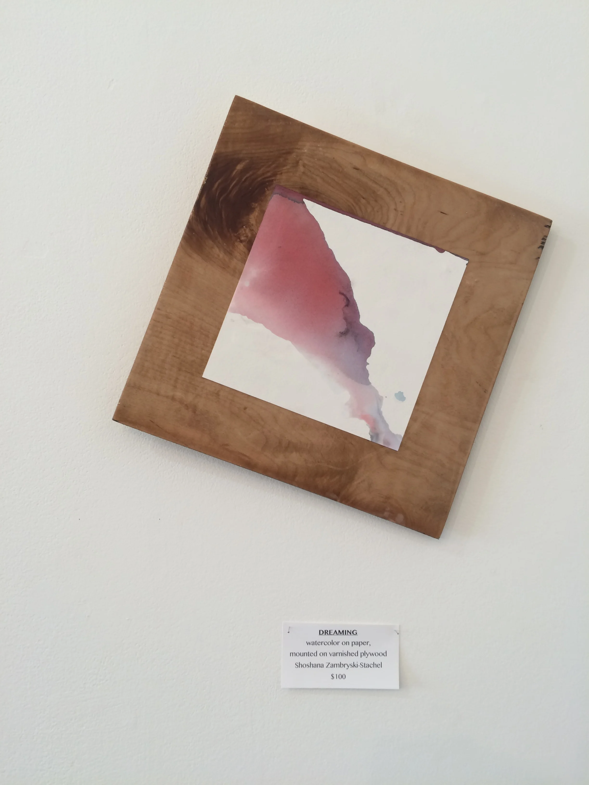 Dreaming by Shoshana Zambryski-Stachel