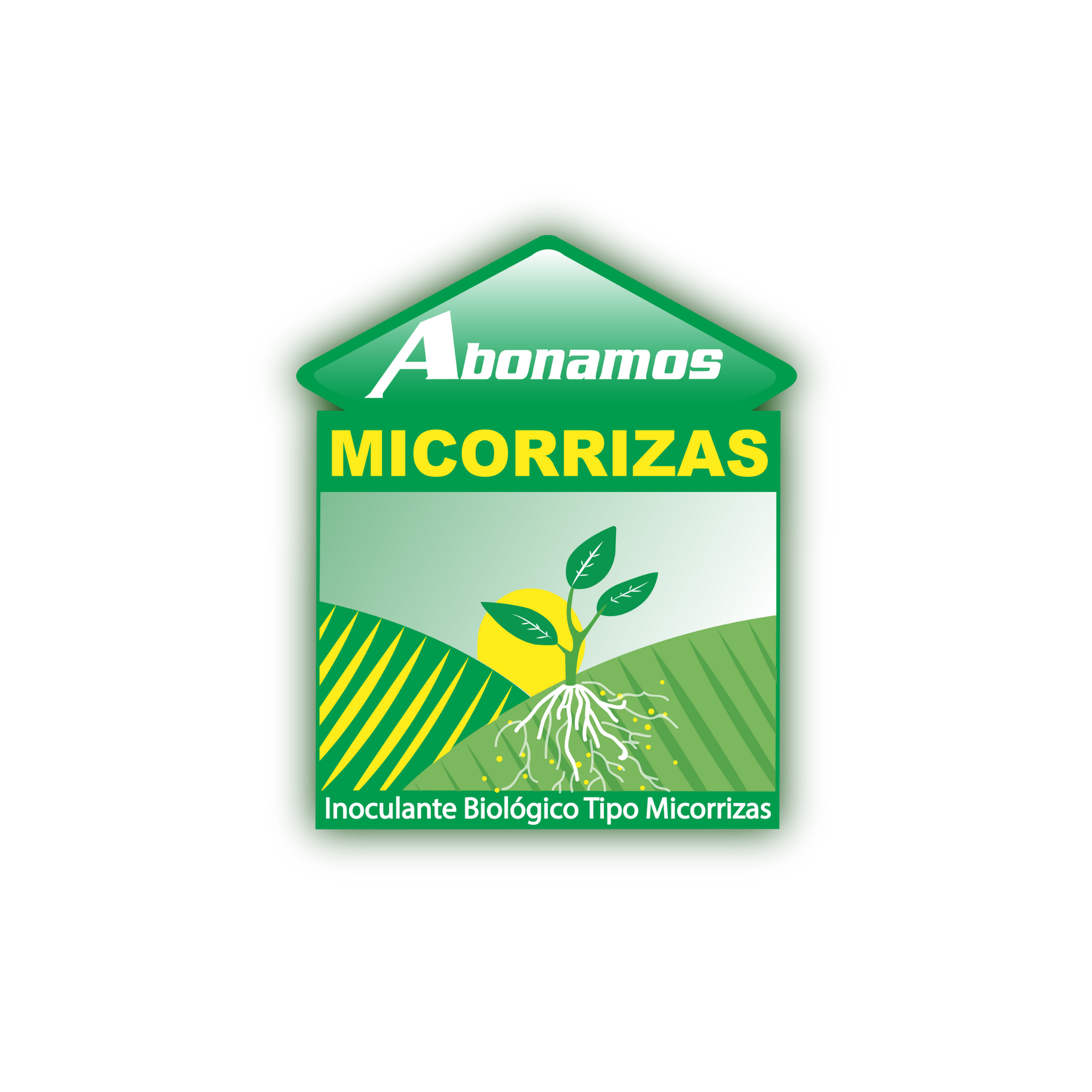 Micorrizas 1.png