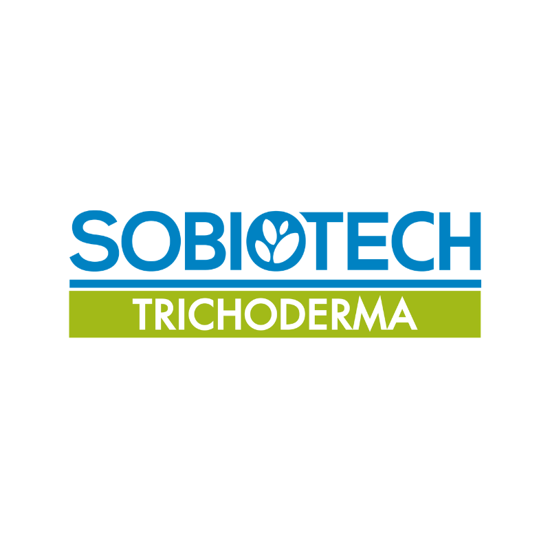 IMAGENES SITIO WEB  (2).png
