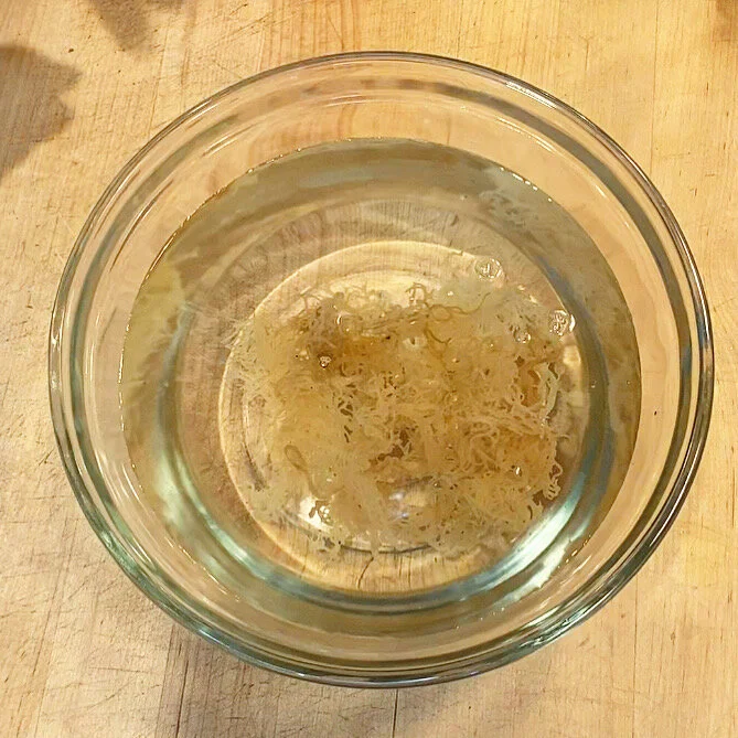 My Favorite Conductivity Gels + DIY Conductivity Gel Recipe — The