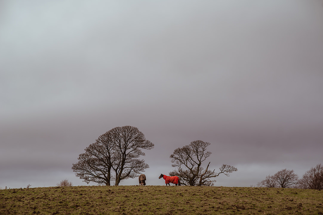 wedding equestrian centre scotland photography