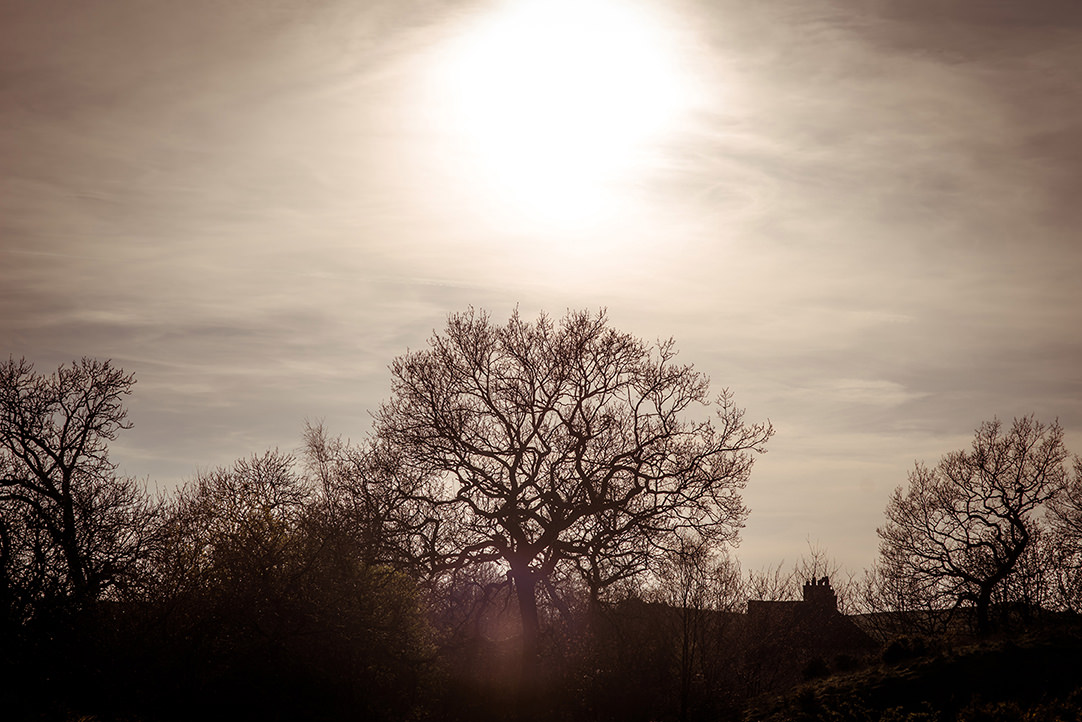 scottish scenery wedding stirling photographs