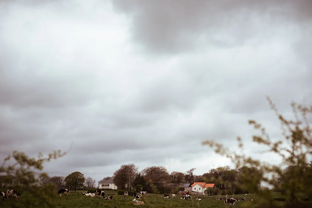 glassford wedding photography scotland