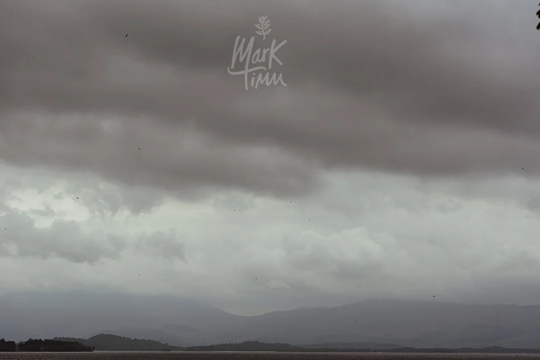 loch lomond wedding scenery